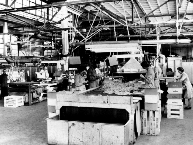 25--Glasfabriek;_ontspanningsoven.jpg