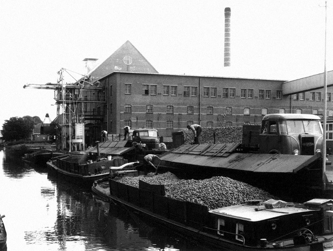 29--Aardappelmeelfabriek_Hollandia_1960.jpg